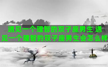 遇见一个理智的双子座男生 遇见一个理智的双子座男生会怎么样